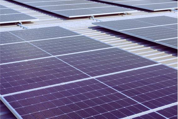 Amney Solar