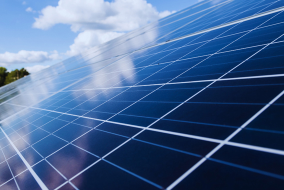 Amney Solar