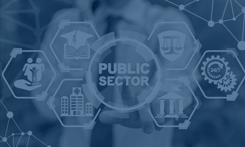 public-sector