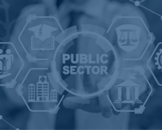 public-sector1